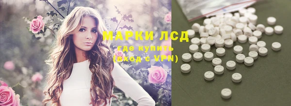 прущие грибы Алексеевка