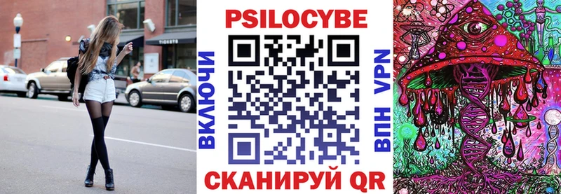 Галлюциногенные грибы Psilocybe  Амурск 