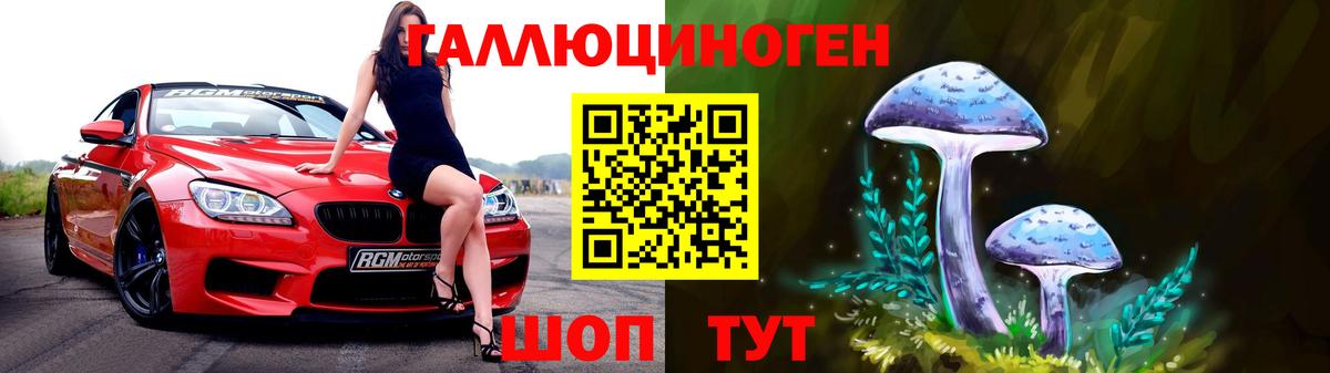 Псилоцибиновые грибы GOLDEN TEACHER Амурск